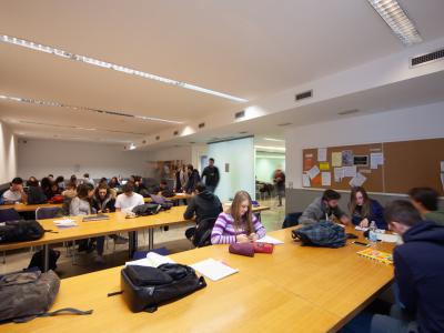 Aula_Studio_Caniana_economia
